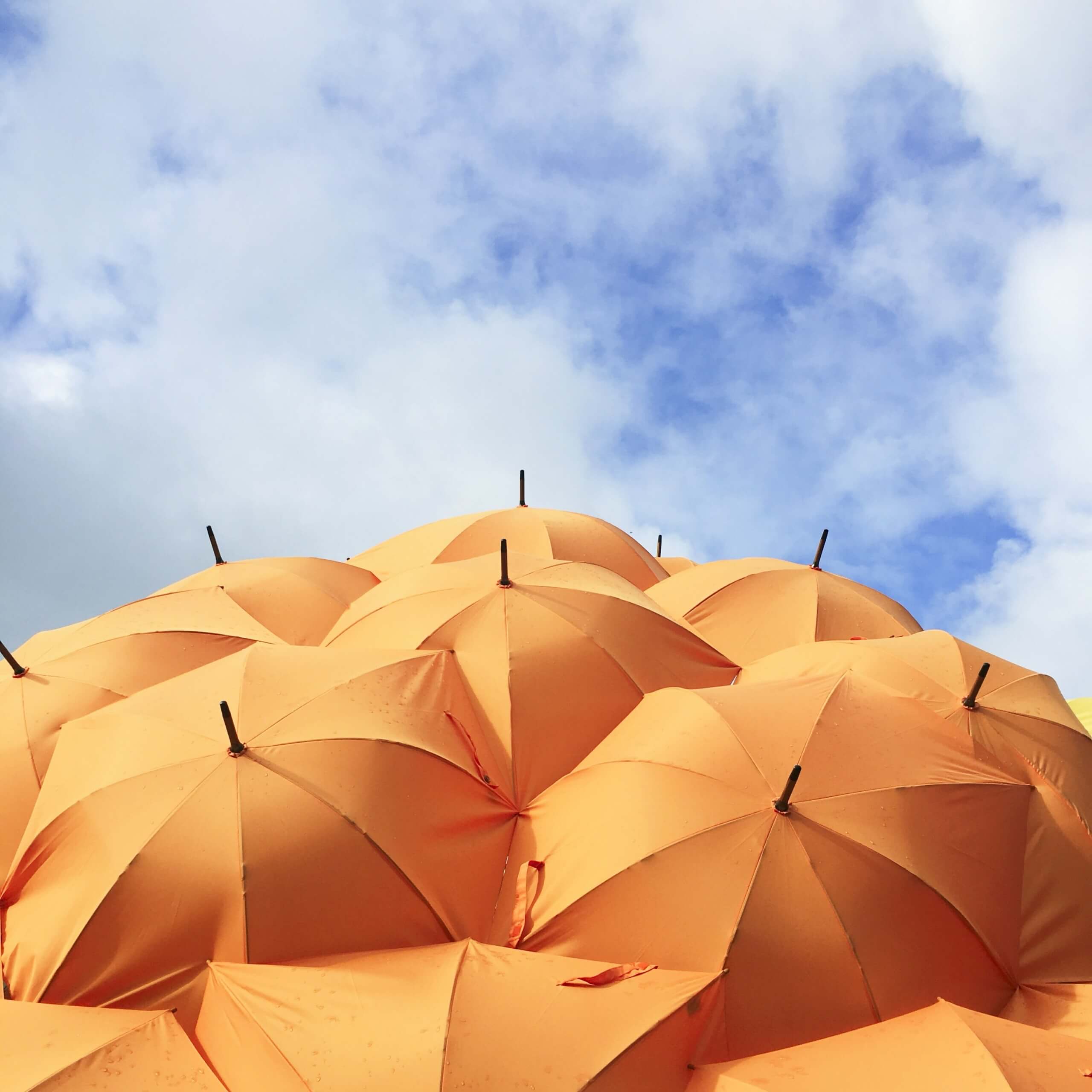 Sobreprotección - catrin-johnson-__8-tD_Qd-Y-unsplash