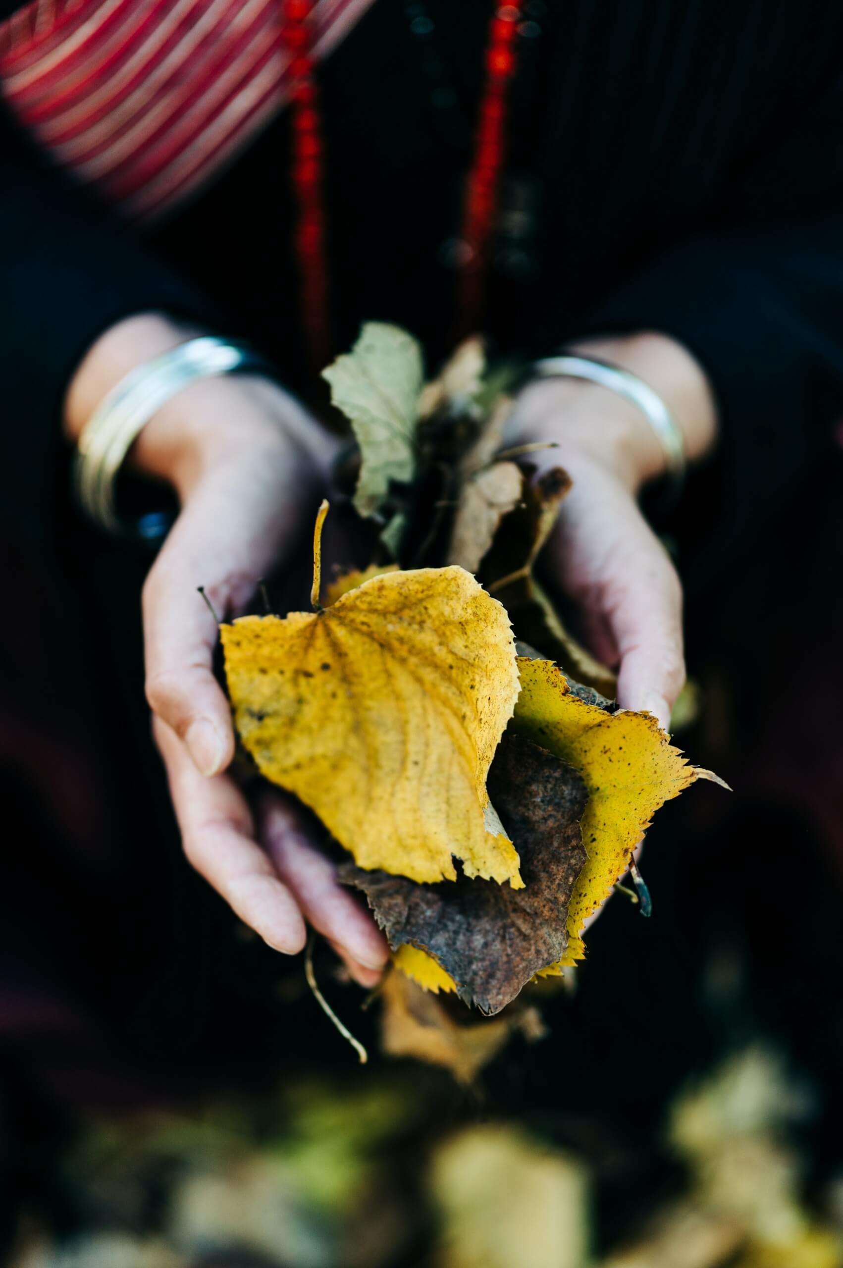 gabriella-clare-marino-aAKgPCCH52w-unsplash