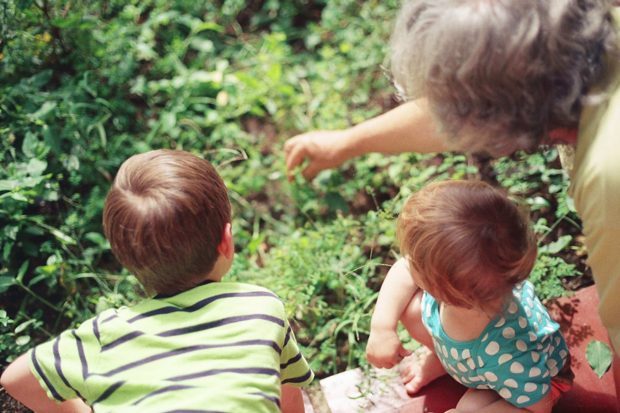 Abuelos - nikoline-arns-rWFpxykk3QM-unsplash