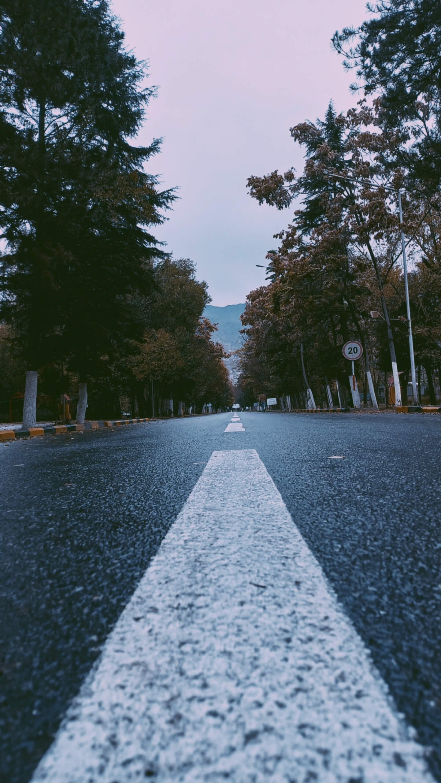 Objetivos de primeros de año - pexels-mustafa-sadat-14423075