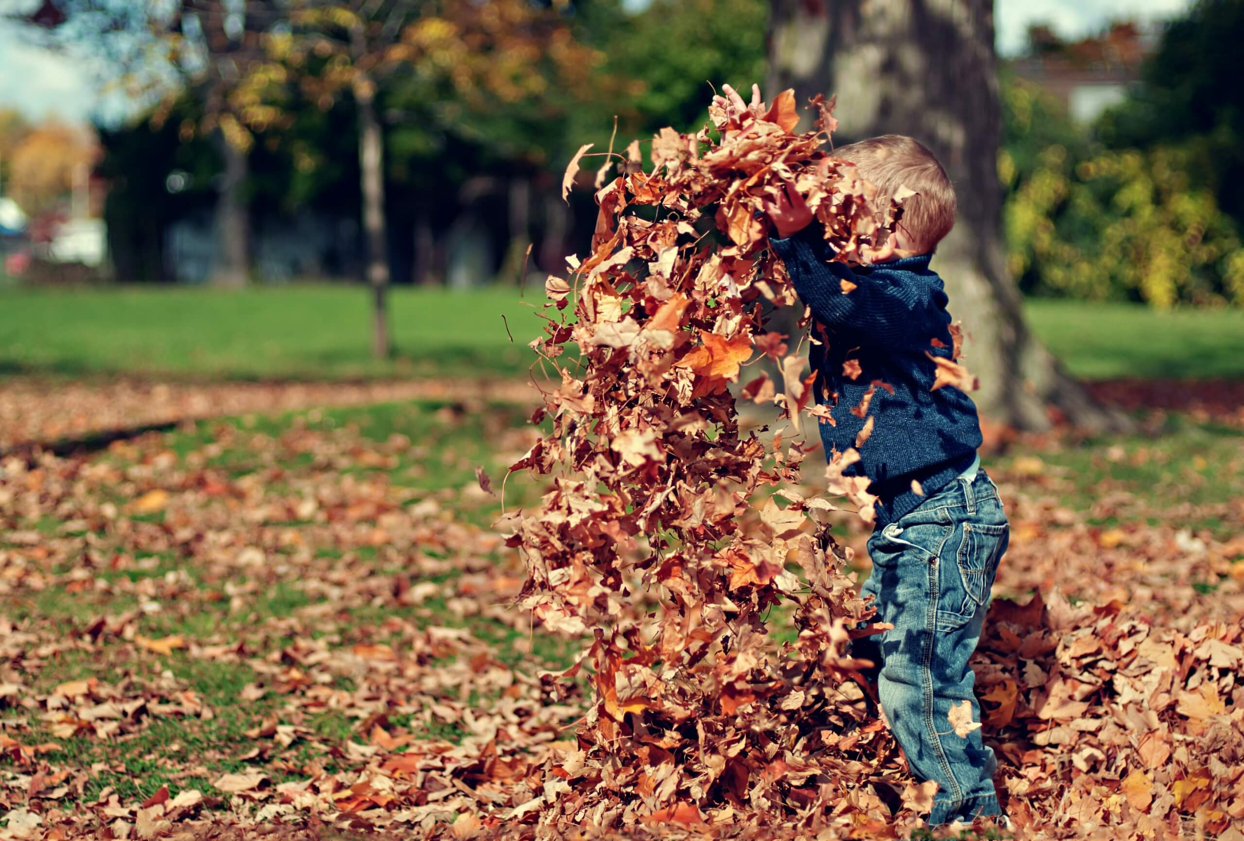 Niños autónomos - scott-webb-obKbq4Z3cuA-unsplash