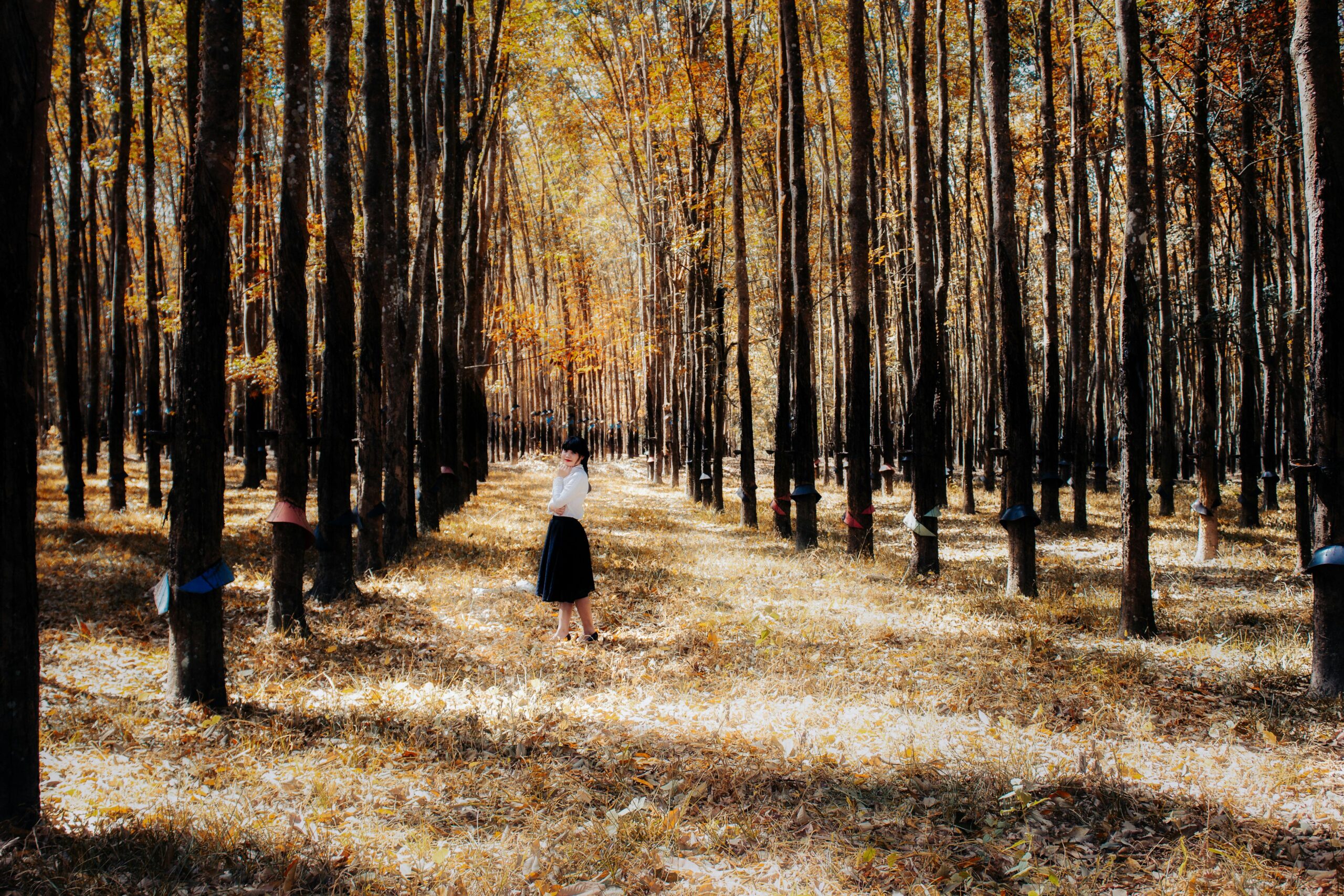 La soledad como problema y negocio: un análisis desde la psicología